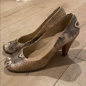 Snakeskin Aldo Heels